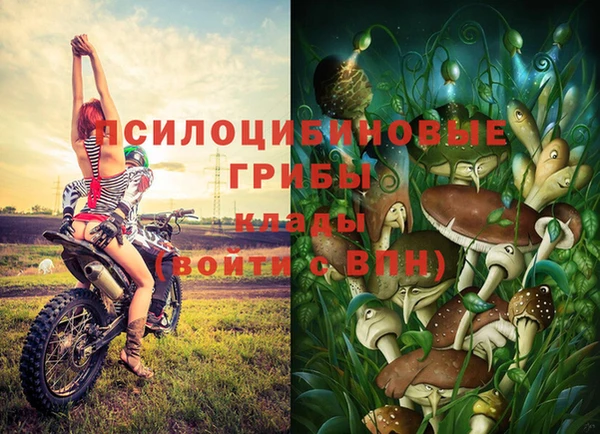 МДМА Алексеевка