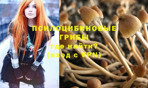 МДМА Алексеевка